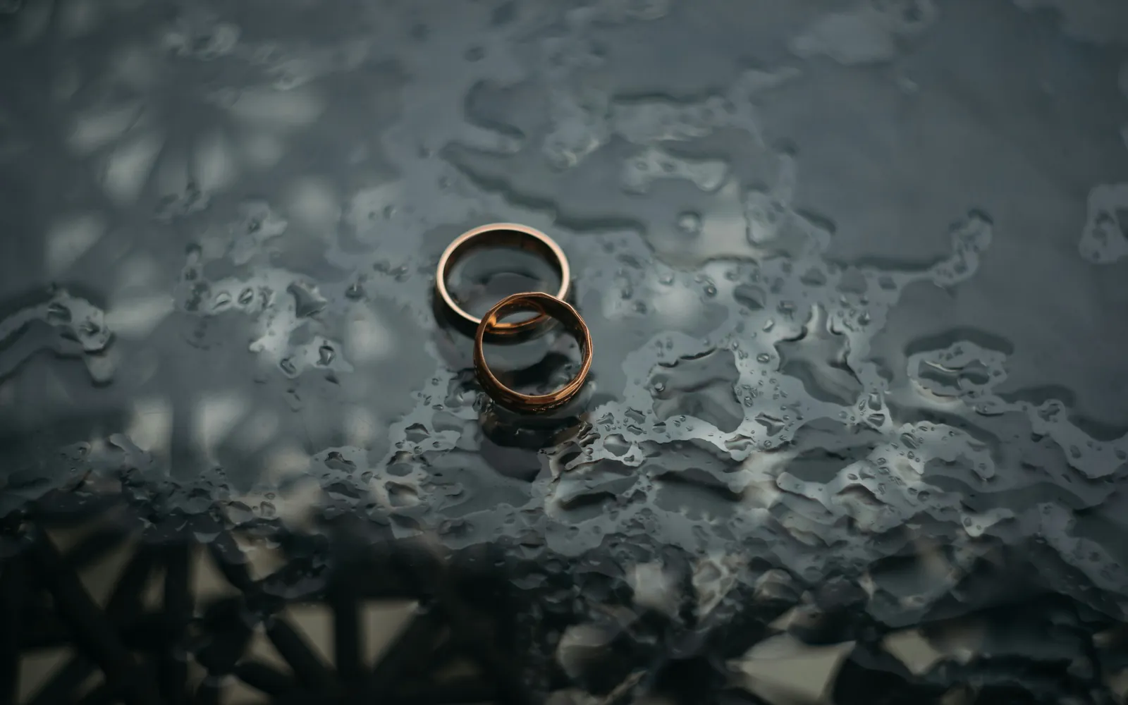 Duas alianças de casamento sobre uma pedra escura e molhada